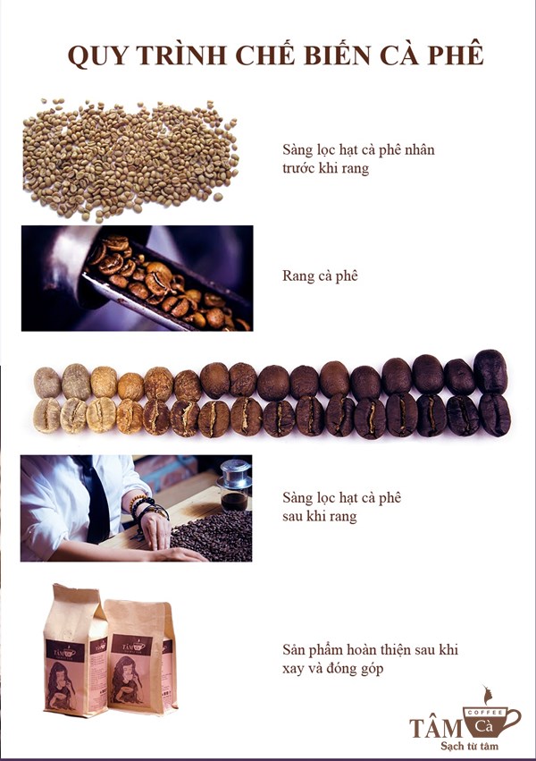 Quy trình cơ bản trong sản xuất cà phê rang xay nguyên chất Tâm Cà