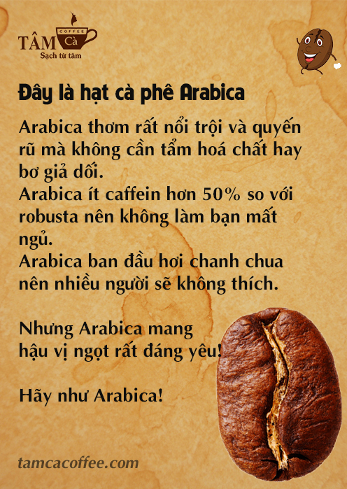 Be like bill - Hạt cà phê Arabica