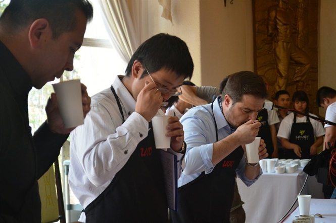 Lâm Đồng: Thi tuyển chọn chất lượng cà phê Arabica Đà Lạt